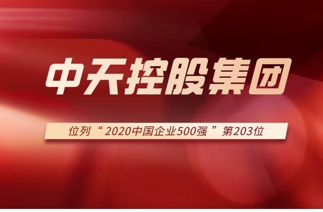 环球360集团列2020中国企业500强第203位！