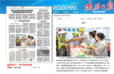 环球360西北集团珑樾府项目高温慰问——《陕西日报》